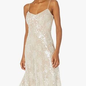XS Dress the Population champagne lace and sequin dress